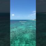2023年 #miyakoisland #okinawa #japan