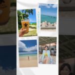 2023年 大好きな宮古島🏖️#宮古島#伊良部島#来間島#池間島#miyakoisland #okinawaisland