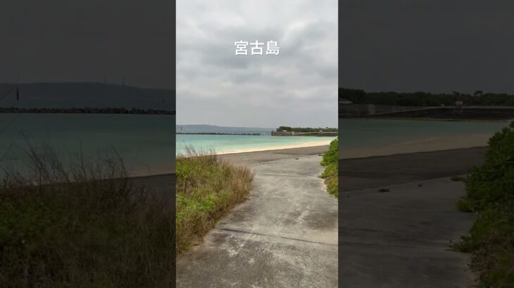 2023年 ホテルのガーデンから🌊まで　南国の植物を見ながら海が見えてきた　#旅 #music 宮古島 #ラグジュアリートラベル