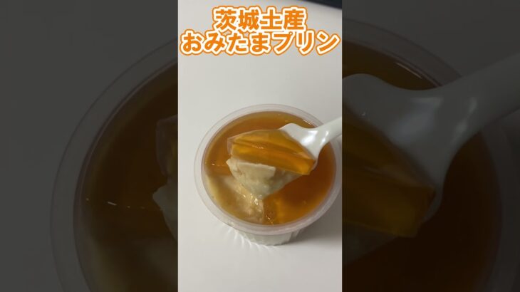 茨城土産で人気のおみたまプリンの金曜限定プリン~茨城観光 #shorts