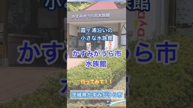 霞ヶ浦沿いの小さな水族館、かすみがうら市水族館。#霞ケ浦　#カスイチ　#サイクリング　#ツーリング　#ドライブ　#茨城　#水族館　#土浦　霞ケ浦　#shorts