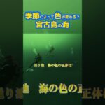 2023年 宮古ブルー？宮古グリーン？ #宮古島 #海外の反応 #shorts