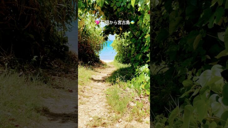 2023年 宮古島 観光 絶景 美しい浜辺 #shorts #ブログ #youtubeshorts #shortvideo #ブログ #宮古島 #宮古島旅行 #沖縄旅行 #海