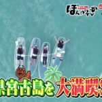 2023年 【tbcテレビ】2025年5月31日(土) 沖縄県宮古島を大満喫SP！！