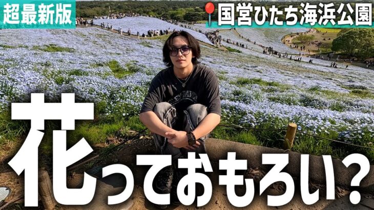 ひたち海浜公園は行く価値あるのか確かめてきた【茨城旅行/デート】