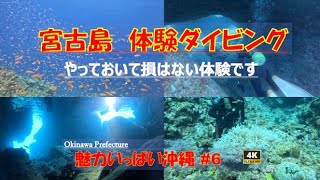 2023年 高齢夫婦の宮古島体験ダイビングの記録