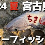 2023年 宮古島おかっぱりルアーフィッシング