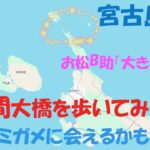 2023年 宮古島池間大橋を歩いてみた、西平安名崎もどうぞ