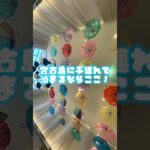 2023年 【宮古島】たーちゃんと二人旅③