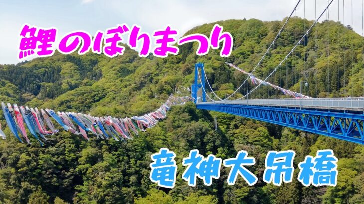🎏竜神峡の鯉のぼり #竜神大吊橋  #茨城県 #竜神峡