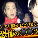 2023年 【危険】宮古島で恐怖体験！？深夜の森でまさかの○○に遭遇！