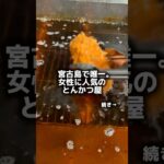 2023年 【宮古島グルメ】宮古島で唯一。女性に人気のとんかつ屋。