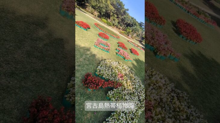 2023年 宮古島🏝️熱帯植物園🥭🌺