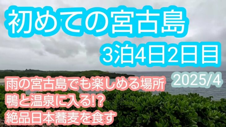 2023年 【雨の宮古島】雨でも楽しめる場所に行きまもる君にも会えました。