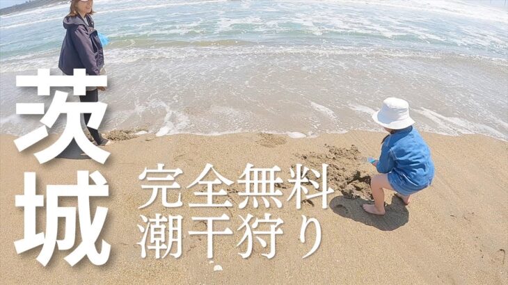 【茨城県無料潮干狩りスポット】日川浜海水浴場🏝️天然ハマグリは獲れる？