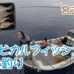 2023年 宮古島 南国の魚 五目釣り トロピカルフィッシュ