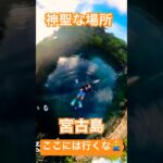 2023年 宮古島のマル秘スポット！ピキャズ