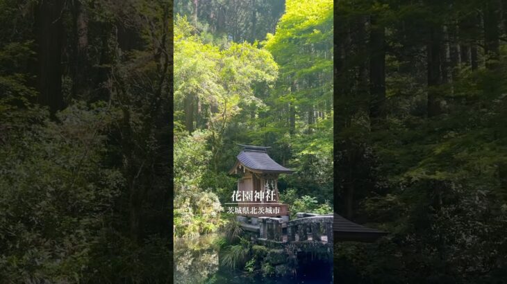 茨城県北茨城市 花園神社  #茨城県 #北茨城市 #神社 #ドライブ