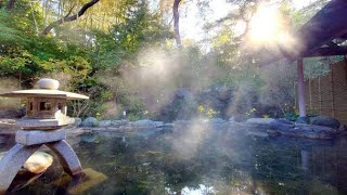 主に週末オープン、北茨城の名旅館「五浦観光ホテル 和風の宿 本館」！「別館 大観荘」とは異なる魅力