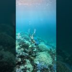 2023年 宮古島の海が綺麗すぎた😍