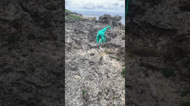 2023年 宮古島の海は綺麗だが、たくさんゴミも落ちています #宮古島