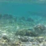 2023年 東平安名崎ビーチ⑦宮古島