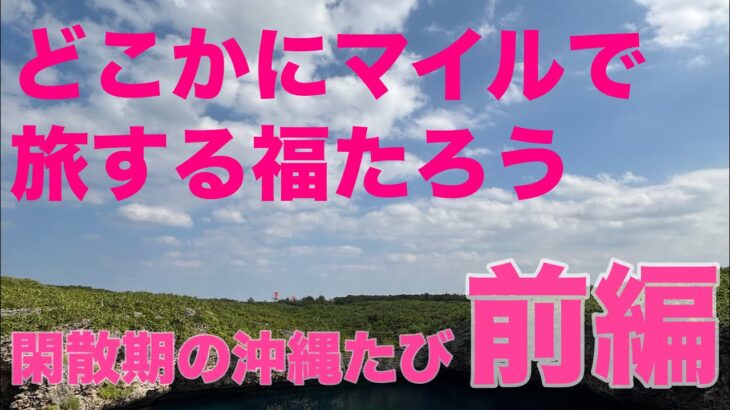 2023年 どこかにマイルで旅する福たろう #旅行 #沖縄 #宮古島