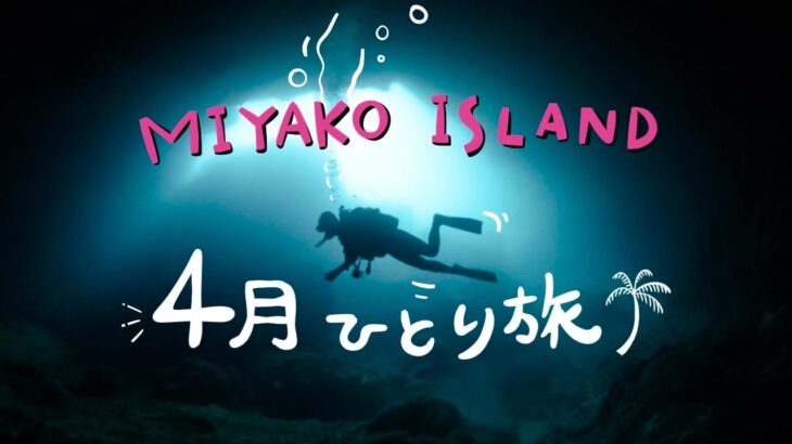 2023年 【宮古島】旦那をおいてひとりで来た【オープンウォーターダイバーライセンス取得】