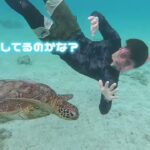 2023年 宮古島の旅。ビーチエントリーでウミガメ発見！