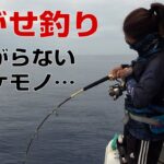 2023年 【泳がせ釣り】ハイサイ丸で学んだことを宮古島で実践してみたら持ち上がらない大物が連発した