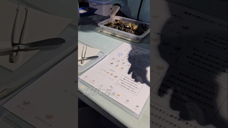 アクアワールド茨城県大洗水族館