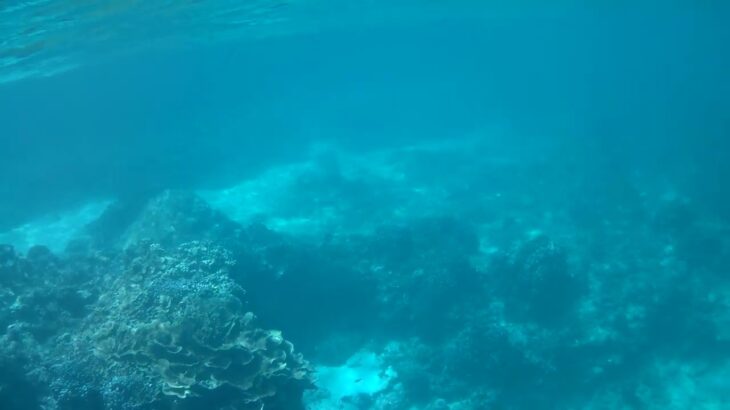 2023年 中の島海岸⑦宮古島