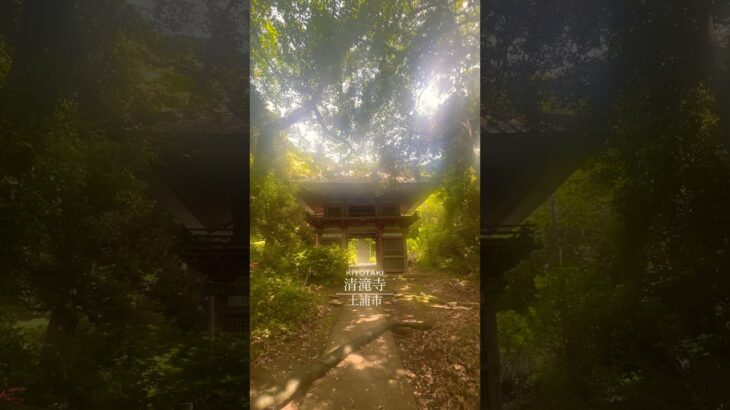 清滝寺 #土浦市 #茨城県 #寺 #ドライブ