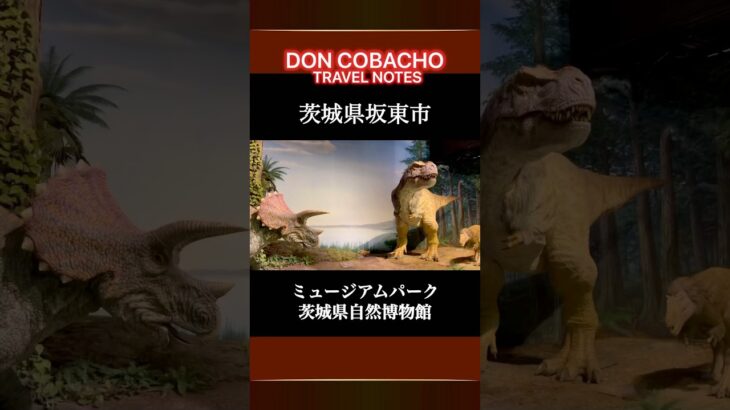 【ミュージアムパーク茨城県自然博物館】