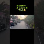2023年 宮古島動画ラスト🎥綺麗な夕空の下散歩する豆柴シバスケ🏀 #柴犬 #犬 #愛犬 #豆柴 #しばいぬ