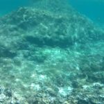 2023年 中の島海岸⑧宮古島