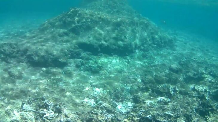 2023年 中の島海岸⑧宮古島