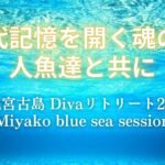 2023年 【リトリート】宮古島 スピリチュアル 人魚ツアー  誰でも参加できるの？