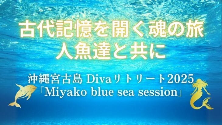 2023年 【リトリート】宮古島 スピリチュアル 人魚ツアー  誰でも参加できるの？