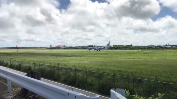 2023年 撮り立て！青ジンベエ！＃宮古空港#宮古島