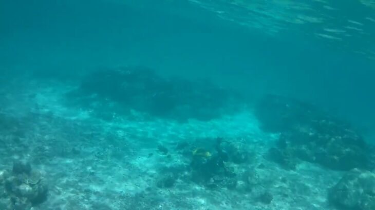 2023年 中の島海岸⑨宮古島