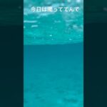 2023年 今日は濁っててんて　宮古島