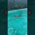 2023年 やっぱりきれいだった
