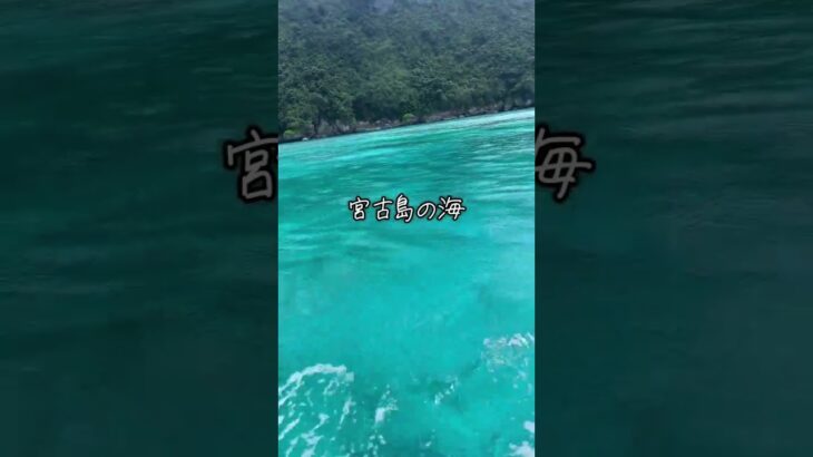 2023年 やっぱりきれいだった