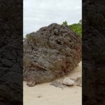 2023年 宮古島　ここはどこでしょう