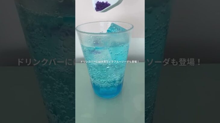 この季節にぴったりの【ネモフィライベント】を開催中！🌼　 #茨城グランピング #茨城観光 #ネモフィラ