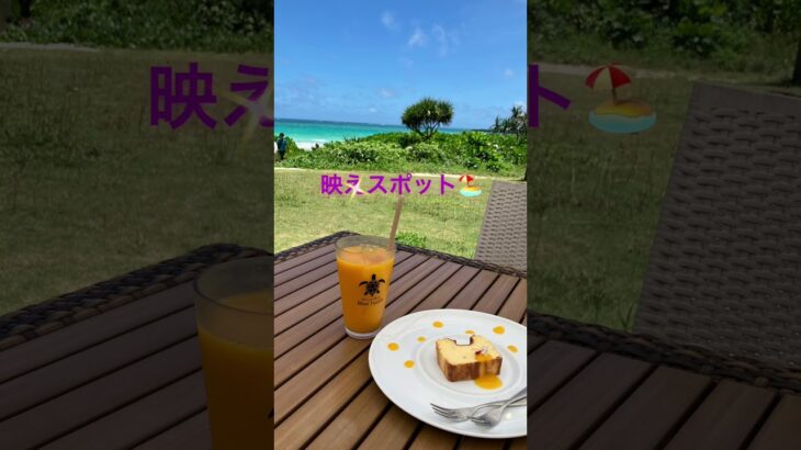 2023年 最高のカフェタイム🍰 #旅行  #宮古島
