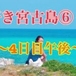 2023年 【宮古島】あたらす市場で高級宮古メロン！？映えカフェのカメさんは不在🐢で、代わりにヤドカリさん♡