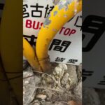 2023年 出会いは突然に  #宮古島ラブストーリー