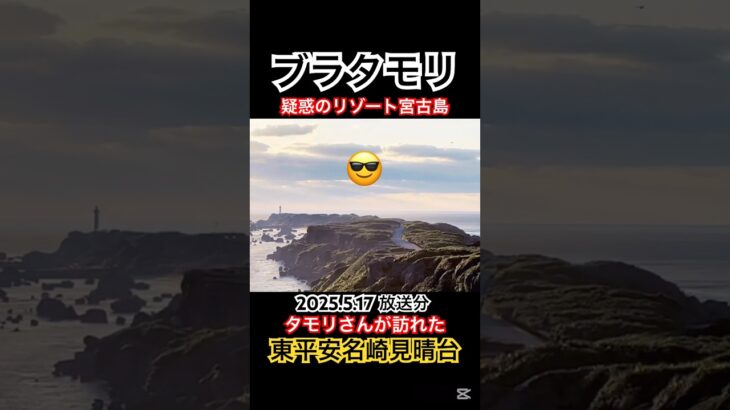 2023年 😎ブラタモリ〜疑惑のリゾート宮古島　#東平安名崎 #宮古島 #ブラタモリ